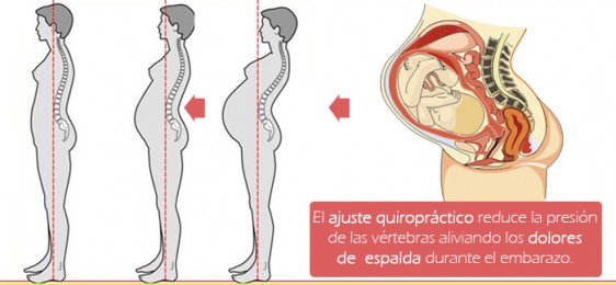 DOLOR EN LA PELVIS EN EL EMBARAZO dolor en la pelvis en el embarazo: